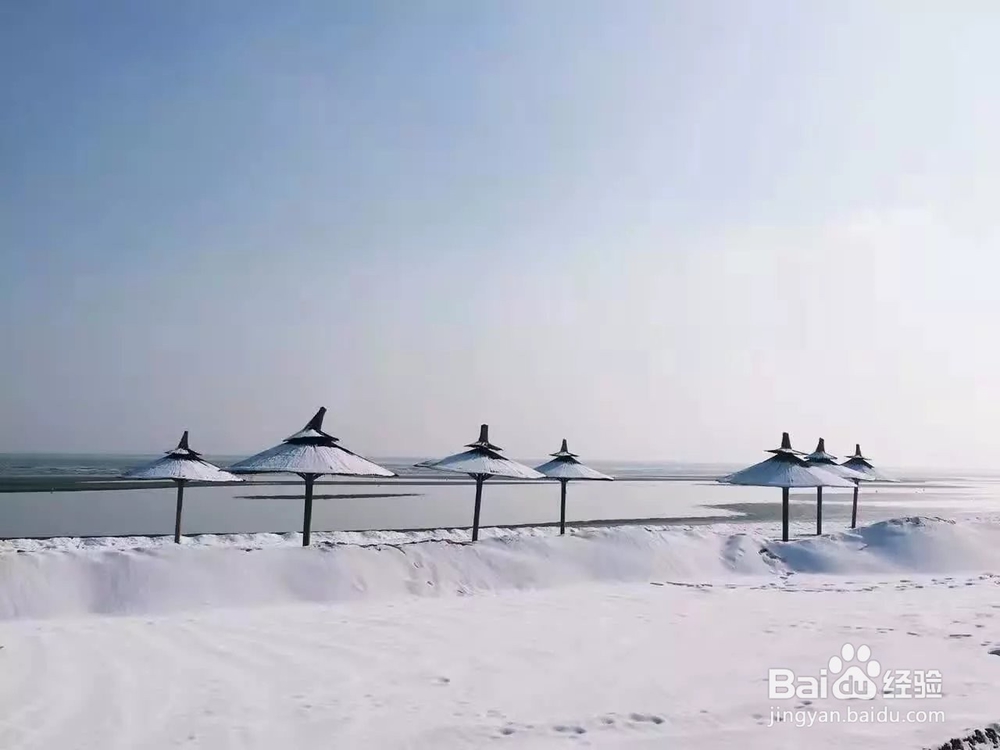 冬季北戴河旅游攻略
