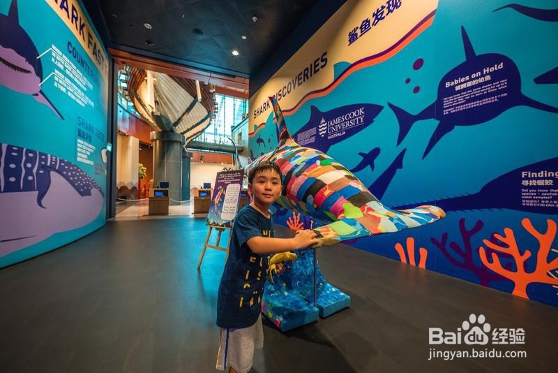 新加坡旅游简记18