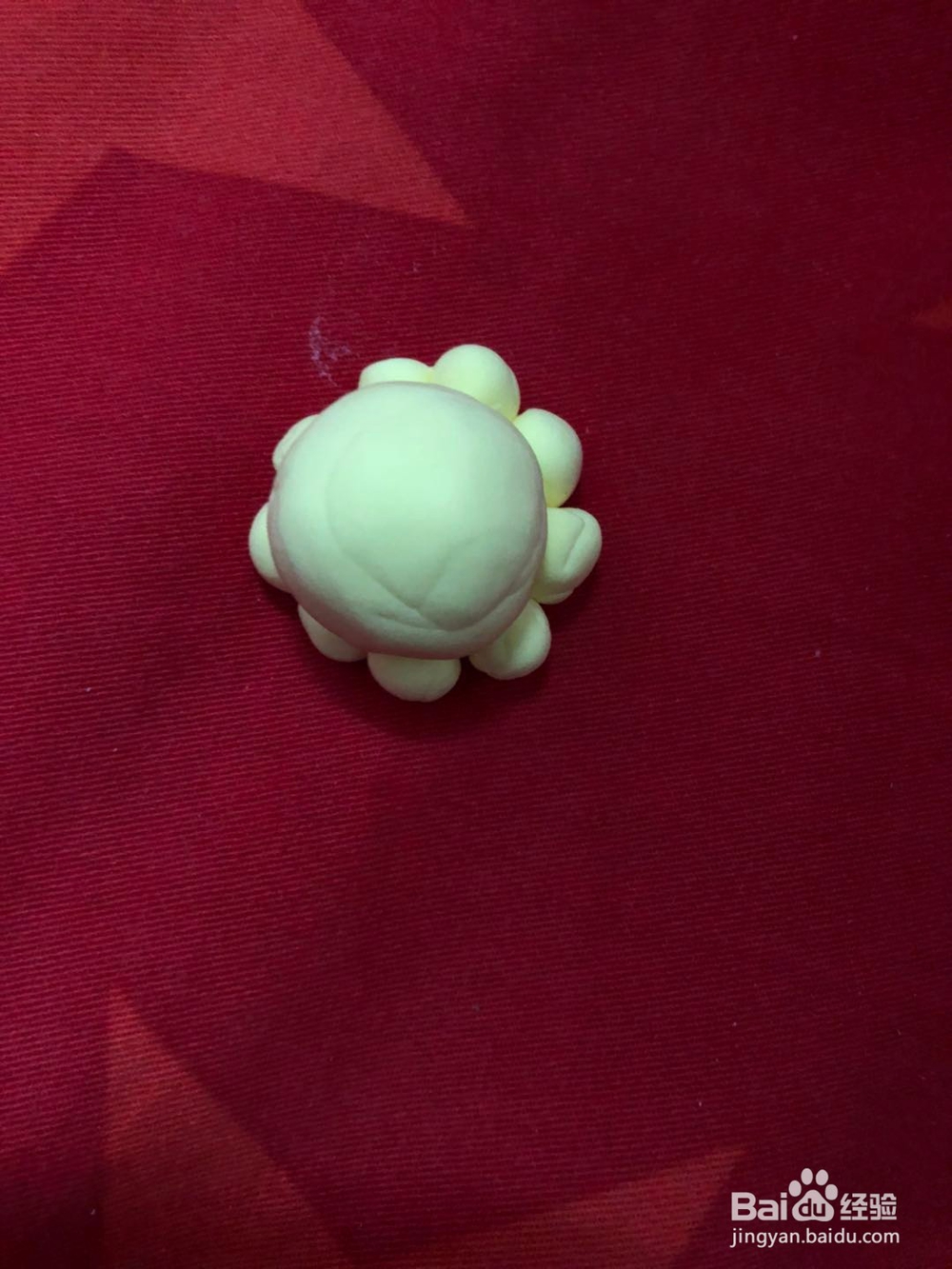 制作美丽的章鱼小姐