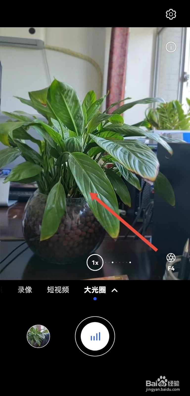 手机拍花怎么设置背景虚化