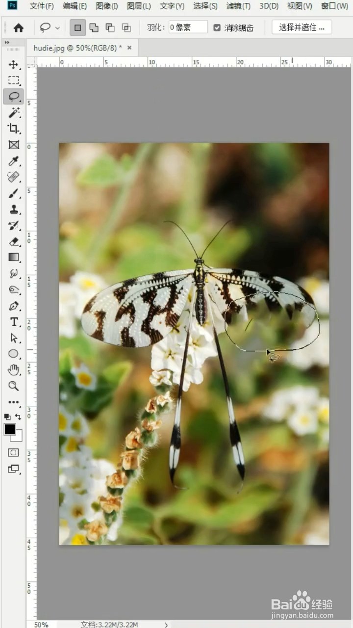 Ps如何进行镜像填充?