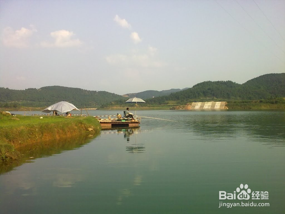 如何迅速学会钓鱼