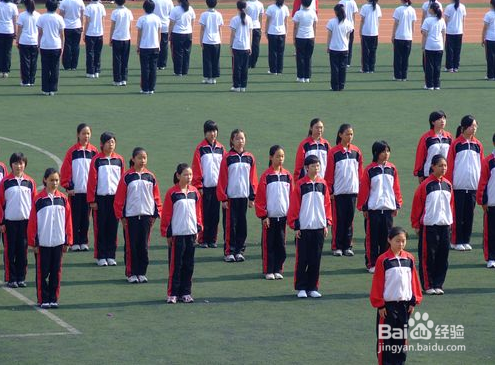 体育教学的主要方法