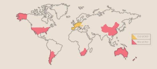 5个问答快速学习葡萄酒知识