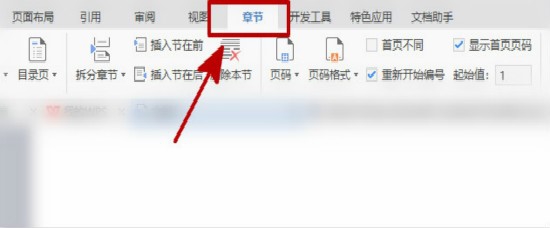 怎样使WORD文档第一页没有页码
