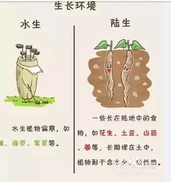 教你快速辨别食物是寒性还是热性？