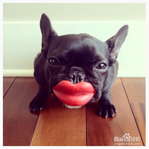 高三老师支招：高考前几天考生该如何复习