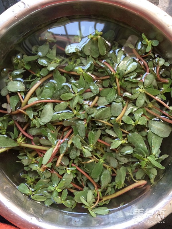 凉拌野菜的做法