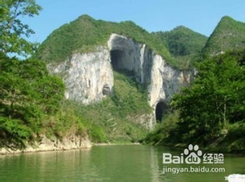 芒特普莱森林旅游攻略