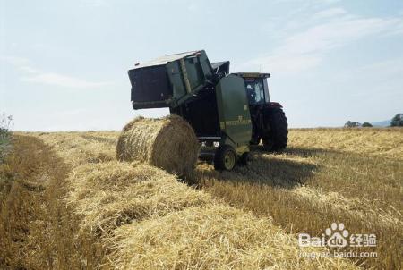 禁止焚烧秸秆，科学依据是什么？