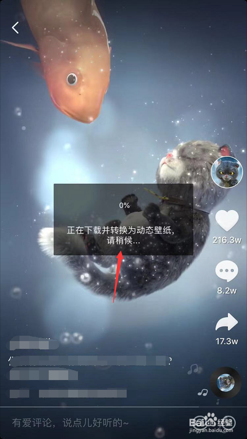 苹果怎么设置动态壁纸