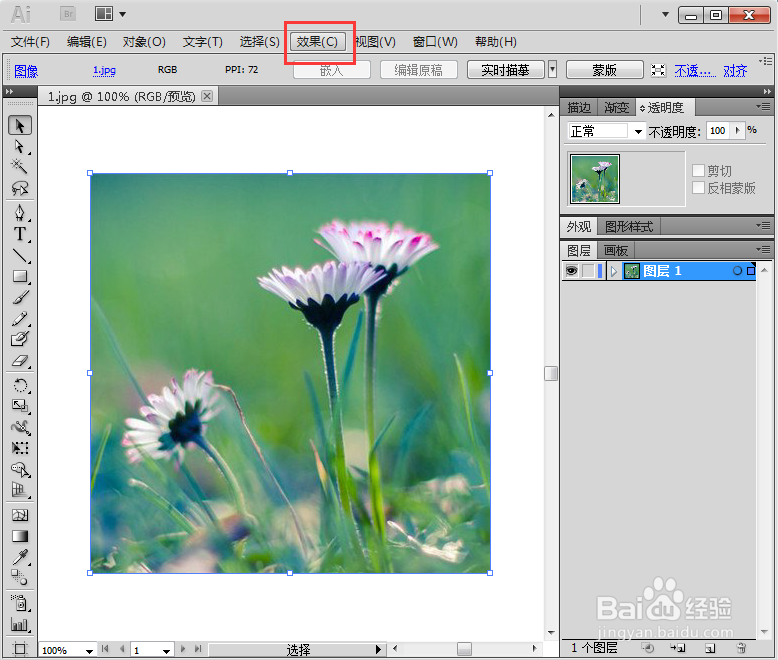 在AI 2019中给图片添加调色刀艺术效果