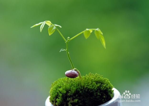 如何防止青少年患上近视？养成不良的行为习惯!