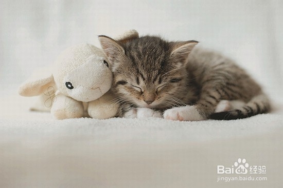 上课想睡觉怎么办