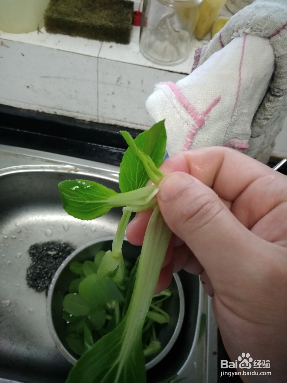 小青菜一手撵开法