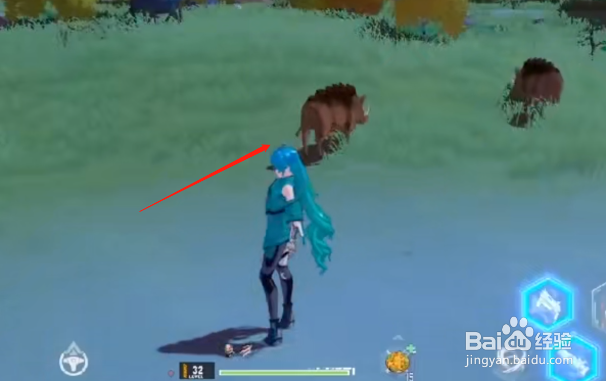 幻塔野猪的位置在哪儿