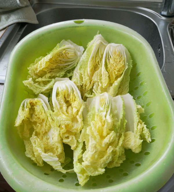 清炒海米娃娃汤菜