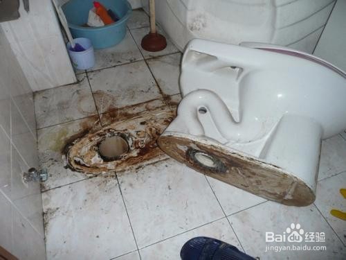 鱼掉进厕所堵了怎么办