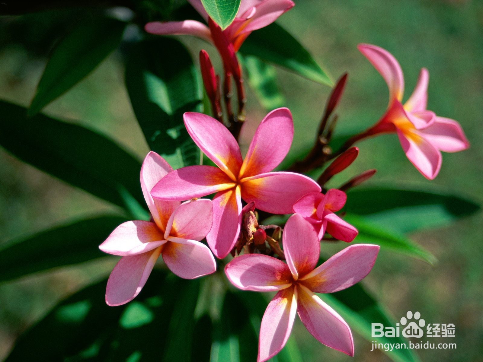 y=√sin6x函数的性质归纳