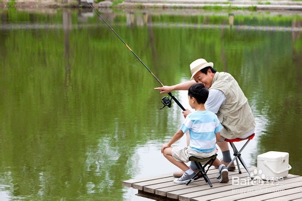 自制夏钓鲫鱼饵料配方及用法技巧有哪些