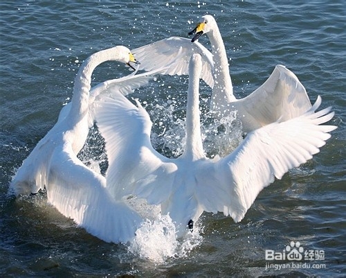 美丽海边山东威海旅游攻略，海岛、沙滩