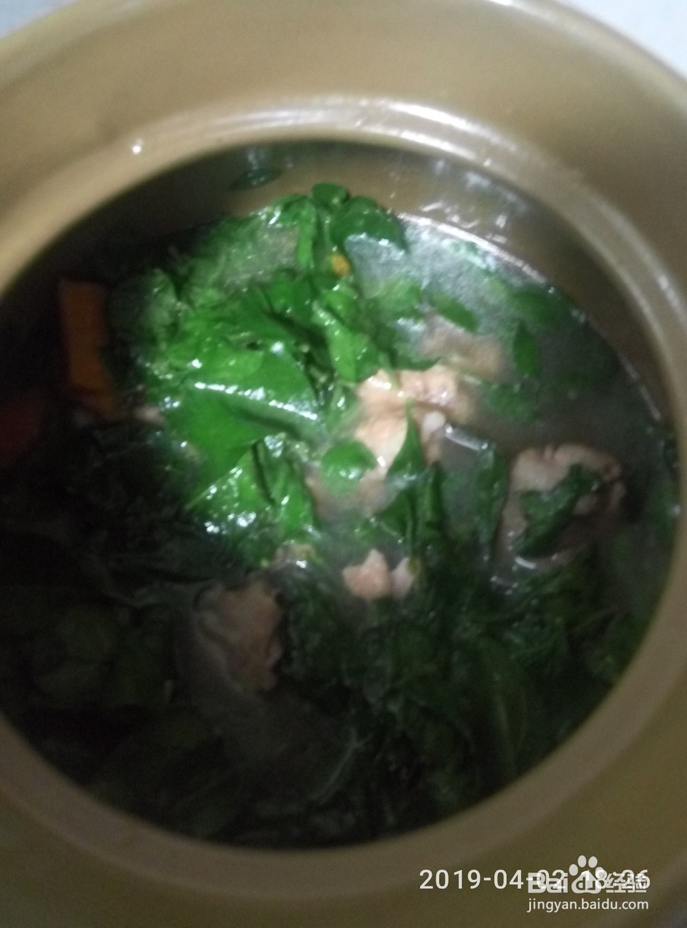 枸杞叶骨头汤的家常做法