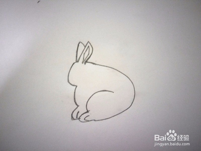 简笔画—小白兔的画法