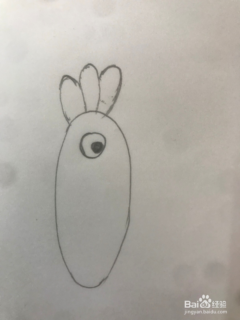 小猪佩琪里的鹦鹉波利如何画