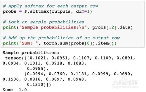 在pytorch中怎么使用 \