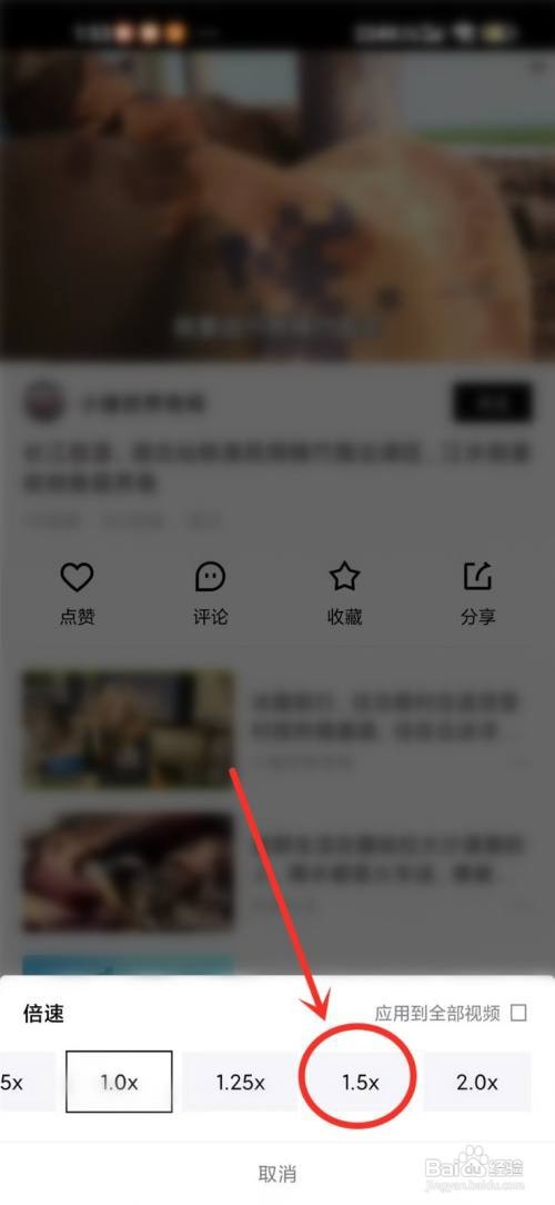 青桃APP如何倍速播放视频