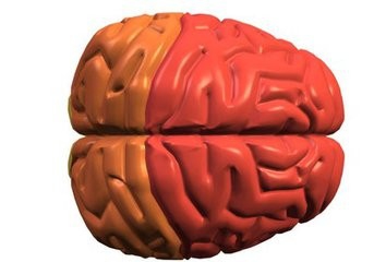 如何有效提高自己记忆力的方法