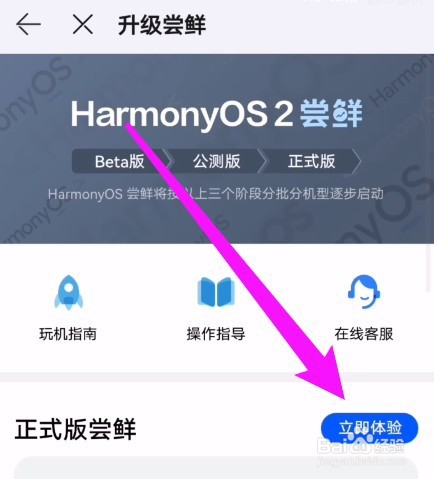 荣耀50se鸿蒙系统怎么升级