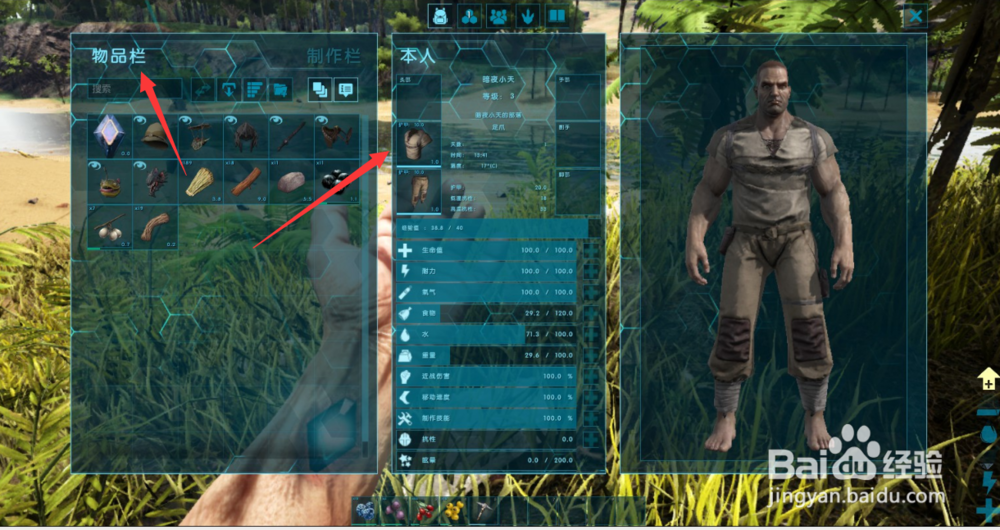 方舟生存进化怎样穿衣服