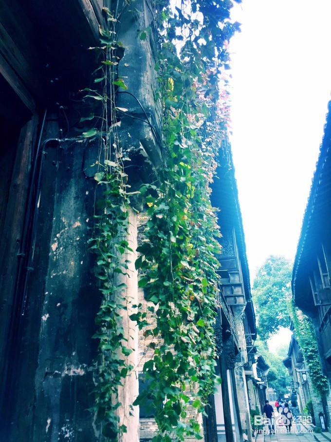 乌镇8大景点旅游巩留