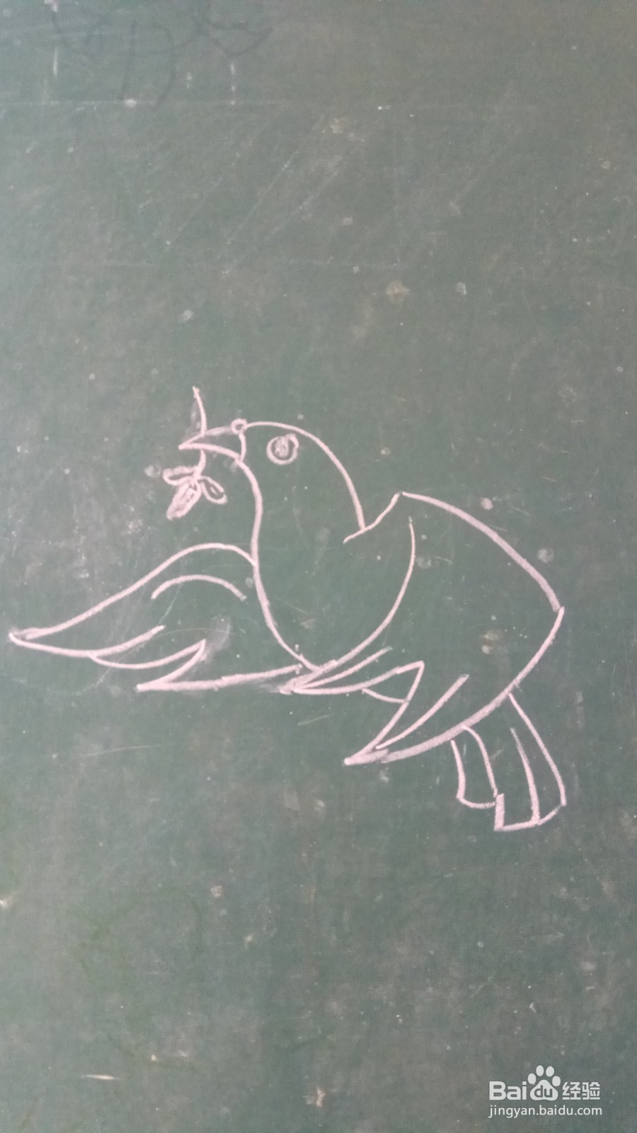 儿童简笔画鸽子的画法