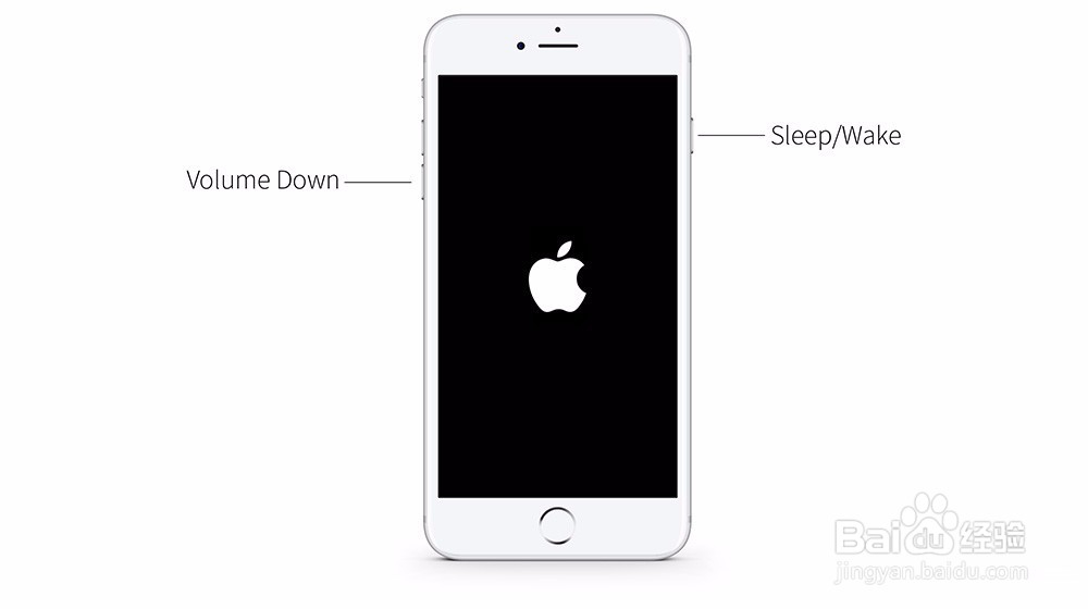 苹果iPhone XS/XS Max/XR如何强制重启？