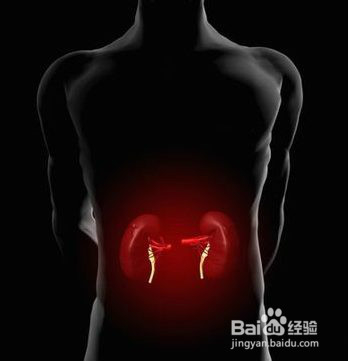 男人体虚怎么办？