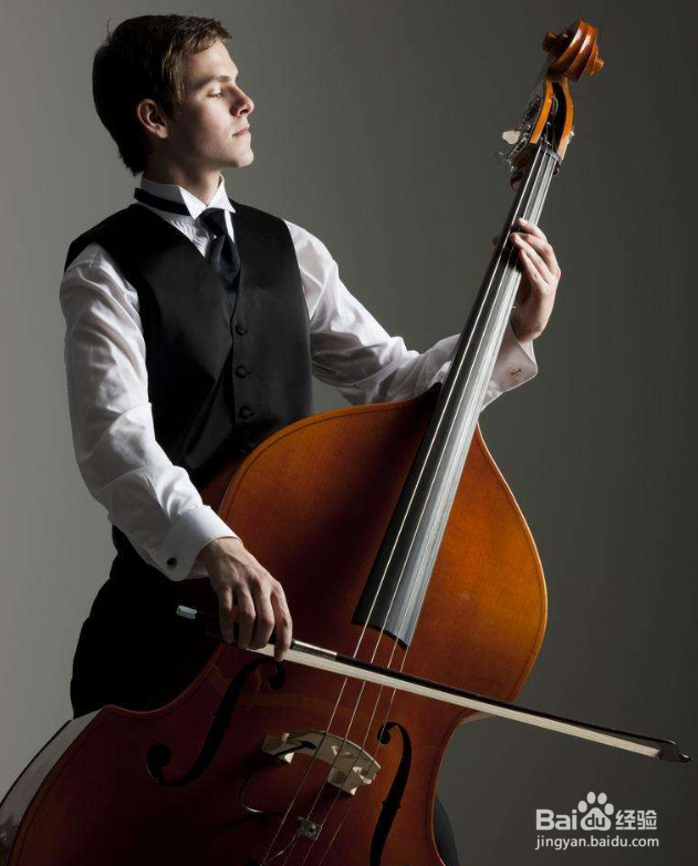 低音提琴怎么演奏