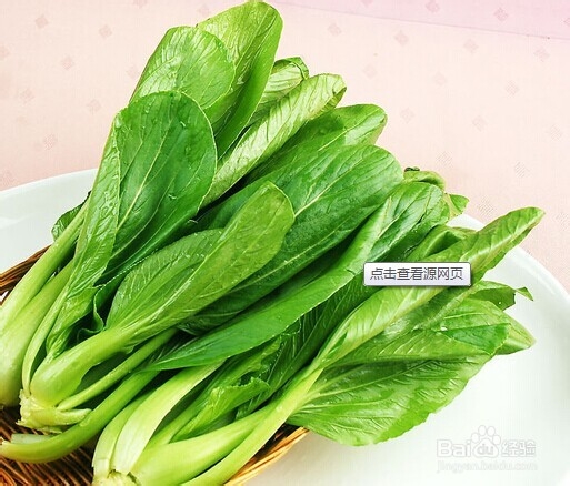 吃素有哪些好处