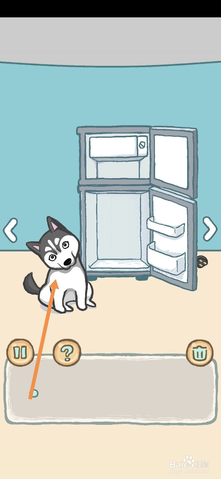 养只二哈不容易拆家并非浪得虚名9-10天怎么过关