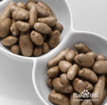 山药豆是怎么长出来的