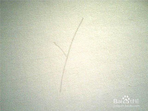 简笔画好看的叶子: