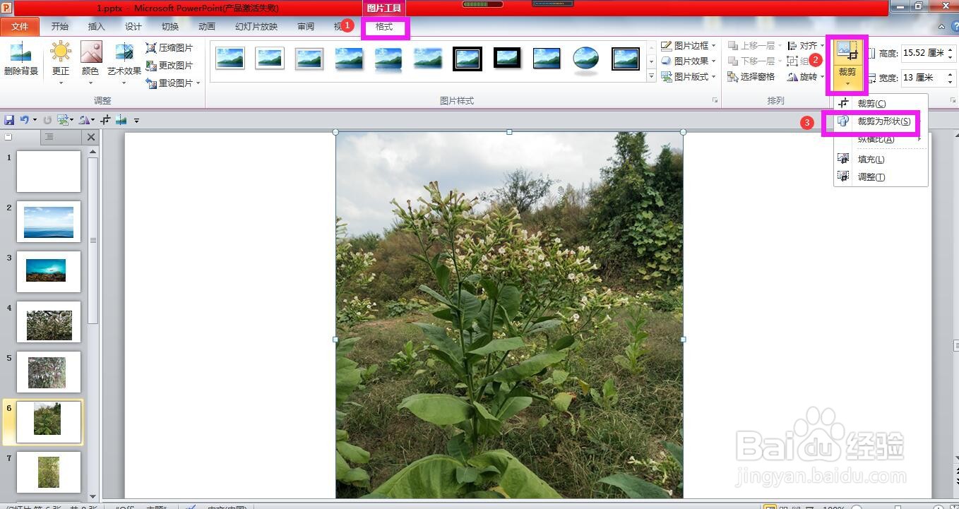 怎样使用PPT设置图片的样式