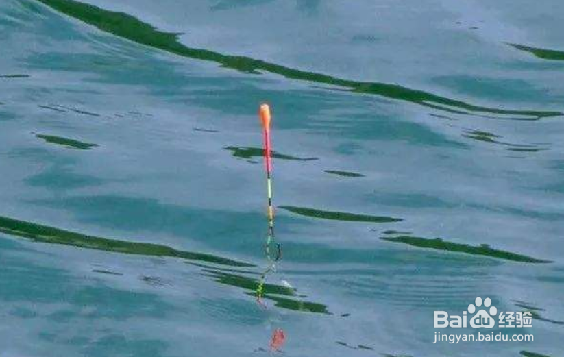 钓鱼浮漂为什么是歪的?为什么总是走漂?
