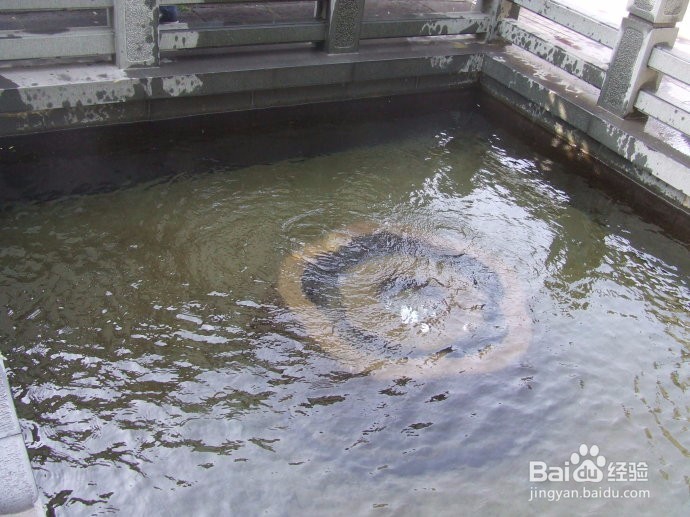 济南趵突泉旅游攻略