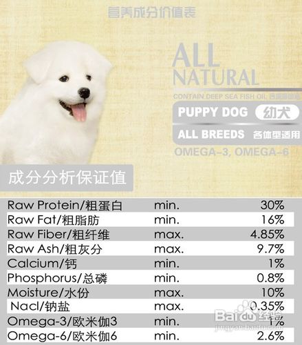 狗粮团购注意事项
