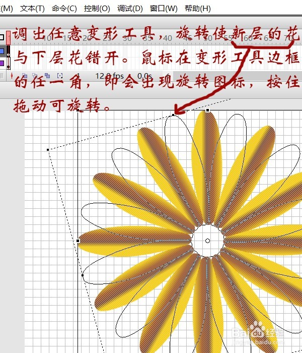 用flash绘制一朵花