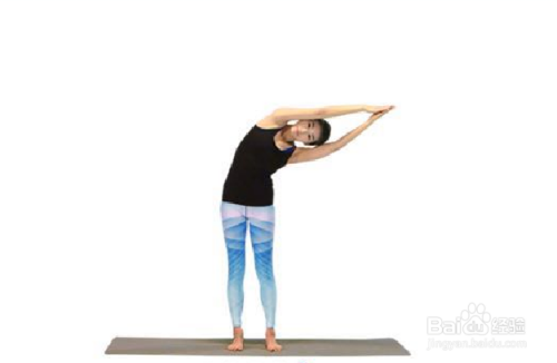 瑜伽之风吹树式