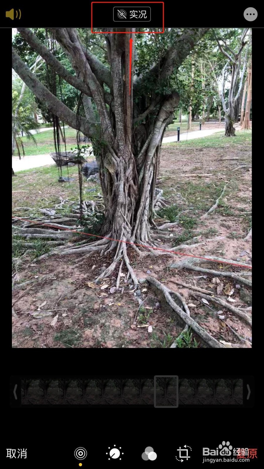 iphone实况照片怎么变成动图