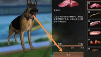 明日之后如何喂养宠物